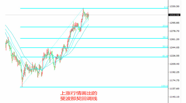 在炒黄金过程中如何高效利用斐波那契回调线？